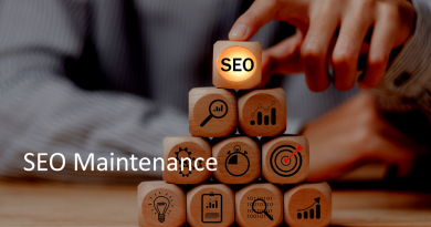 SEO Maintenance Header
