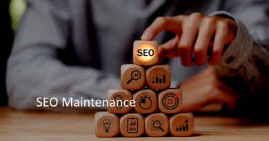 R54Media SEO Maintenance
