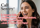 Young business woman talking on the phone smiling