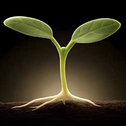 R54Media Small Business Growth System